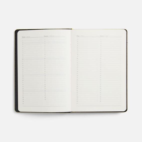 Ежедневник Alanis, недатированный, черный c желтым