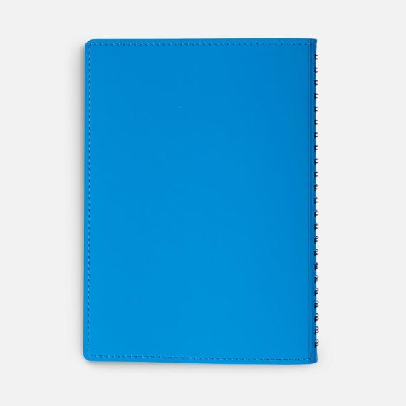 Ежедневник Spring Shall, недатированный, голубой